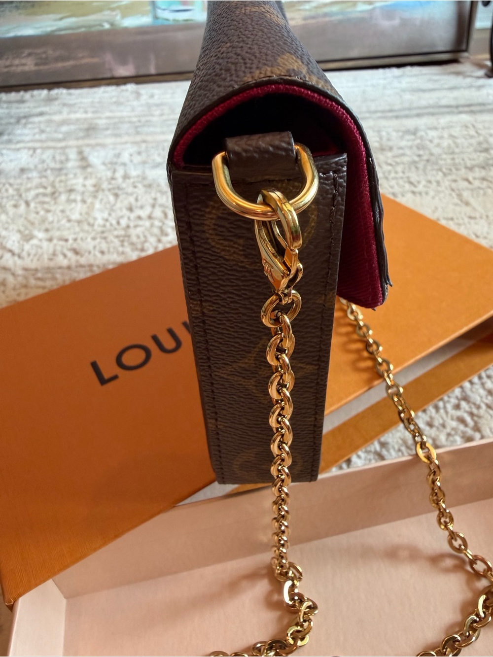Louis Vuitton Pochette Félicie Monogram Crossbody Bag - Picture 8 of 17